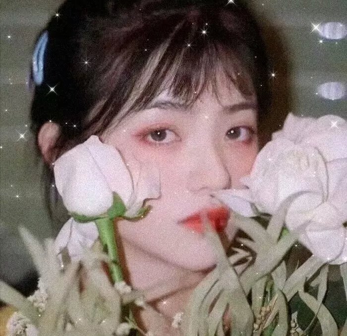 寂灭之境第一季