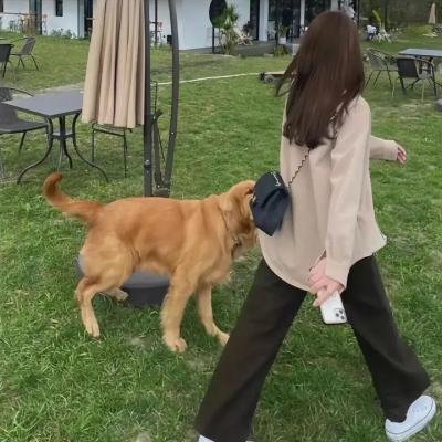 小小便骑士